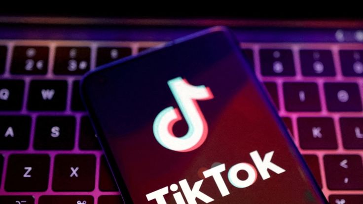jasa pengelolaan TikTok