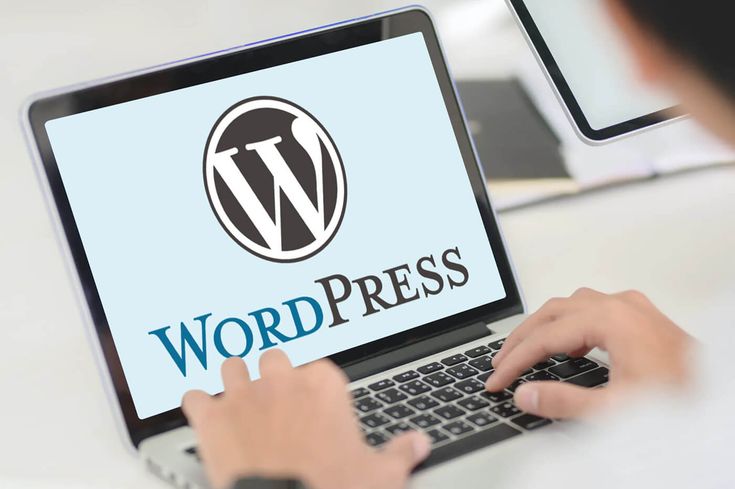 tema WordPress untuk bisnis