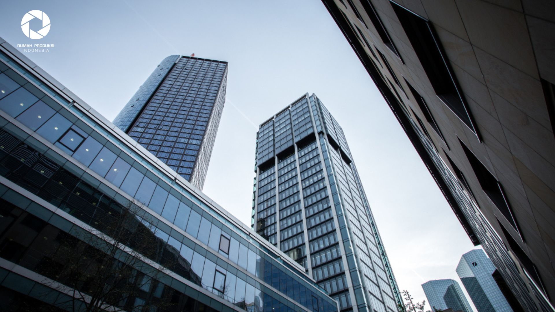 Membangun Citra Kuat Melalui Desain Logo dan Identitas Visual yang Profesional