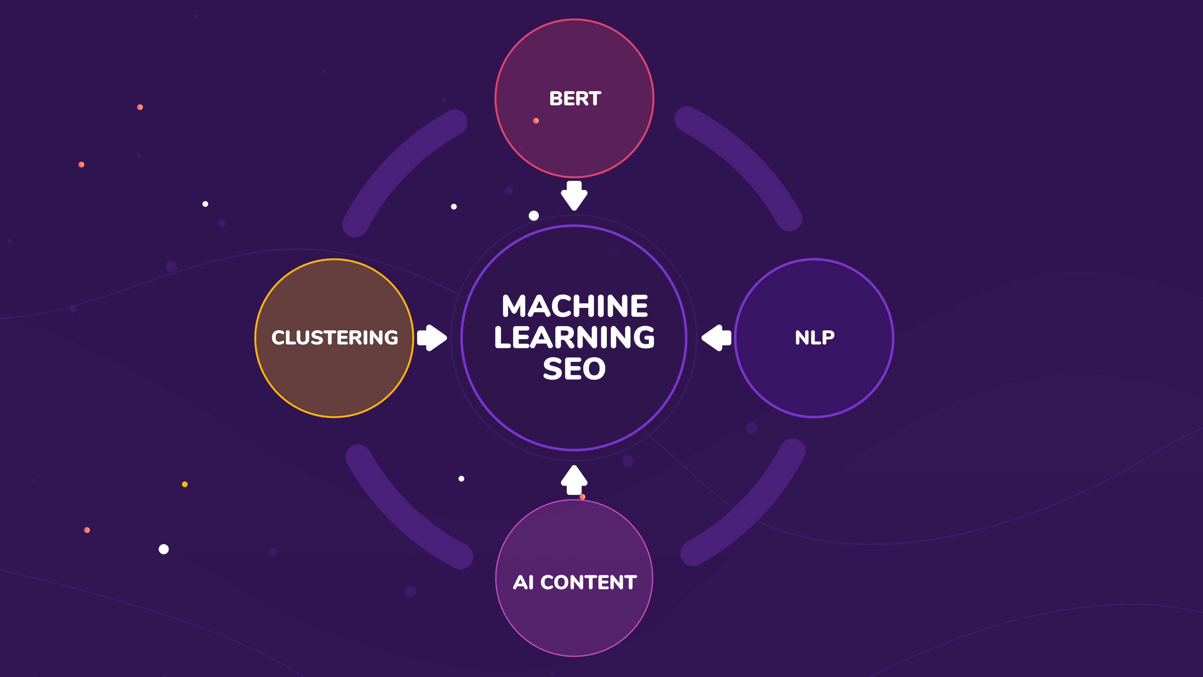 Understanding Search Algorithms in SEO Management Engines