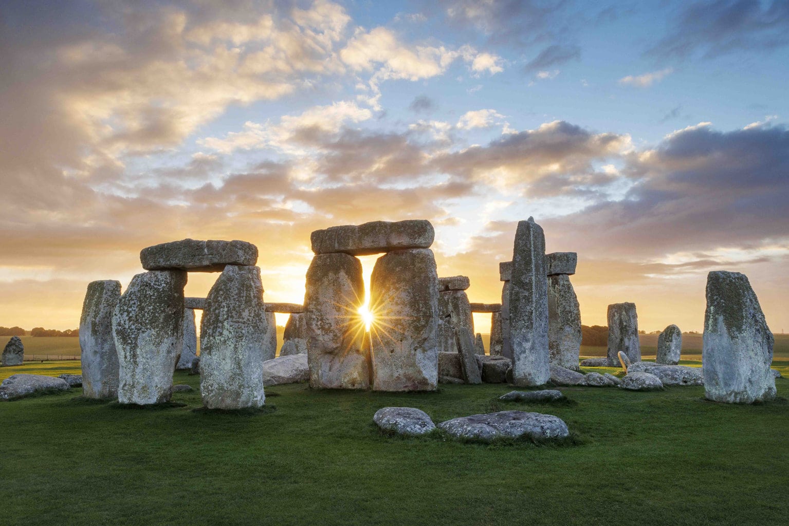 Close-Up Photography: Revealing the Wonders of Detail