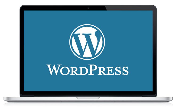 tools pengelolaan WordPress