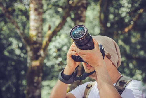Seeing the World Through a Photographer's Eyes