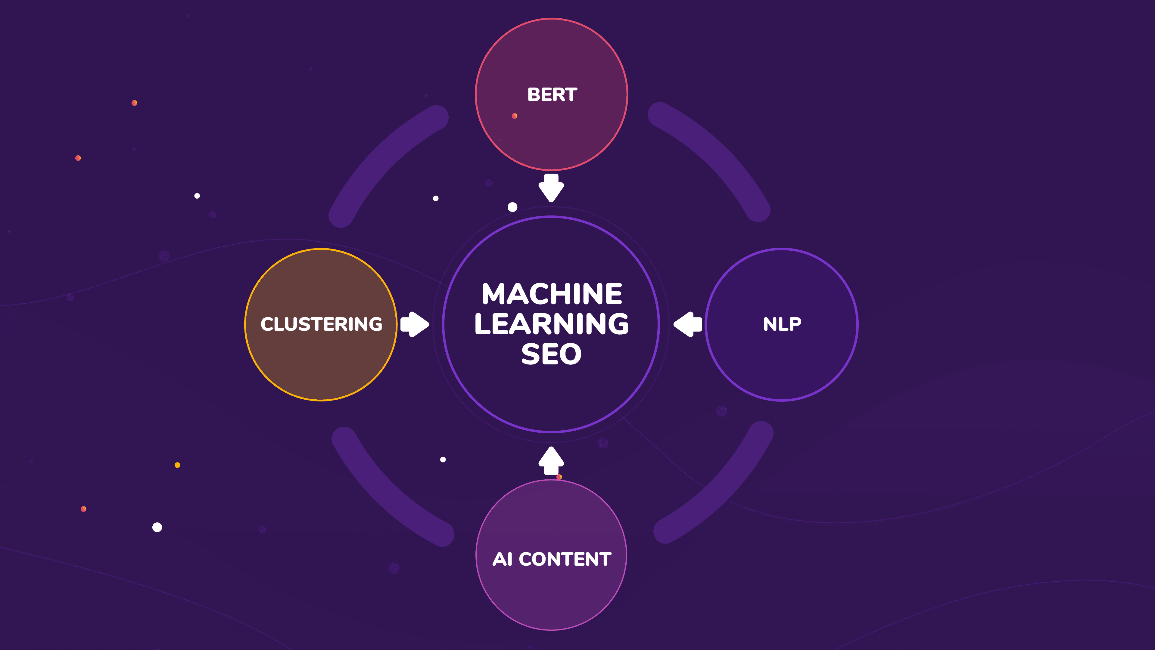 Understanding Search Algorithms in SEO Management Engines
