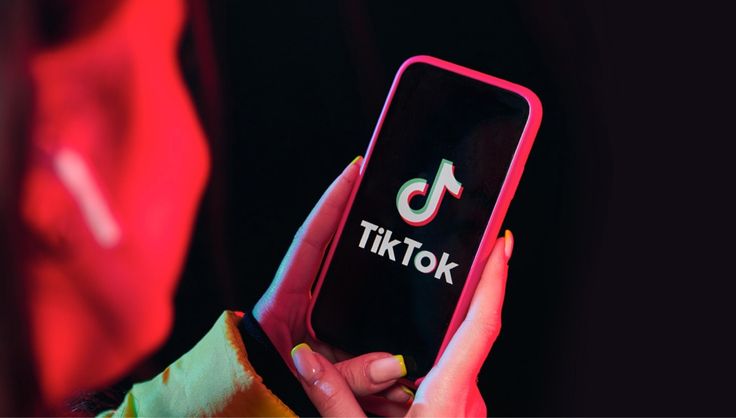 jasa pengelolaan TikTok