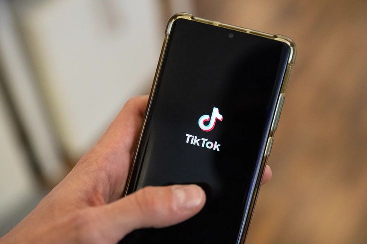 Jasa pengelolaan TikTok