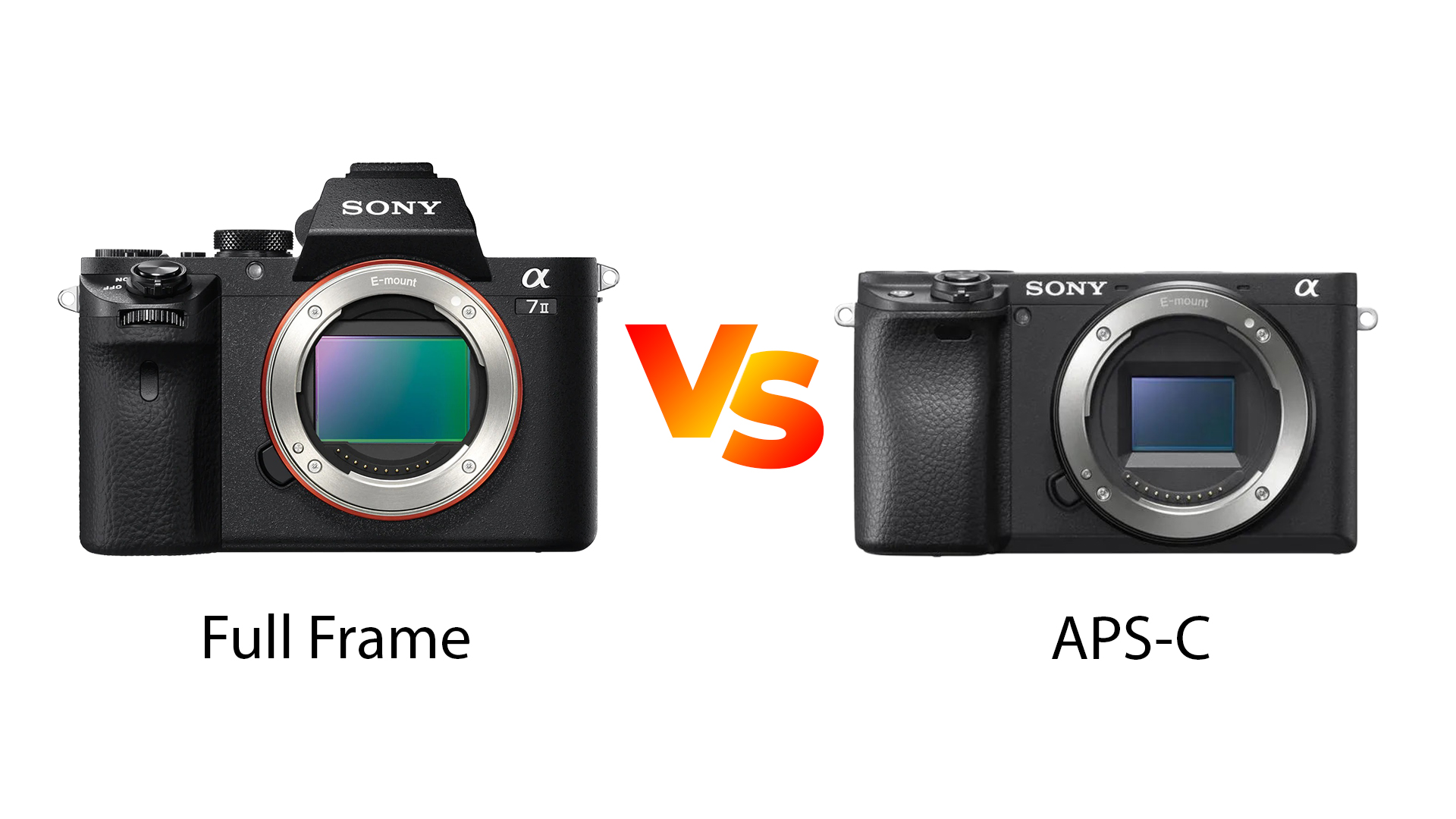 Kamera Fullframe vs APS-C: Pemilihan Kamera yang Tepat | RPI